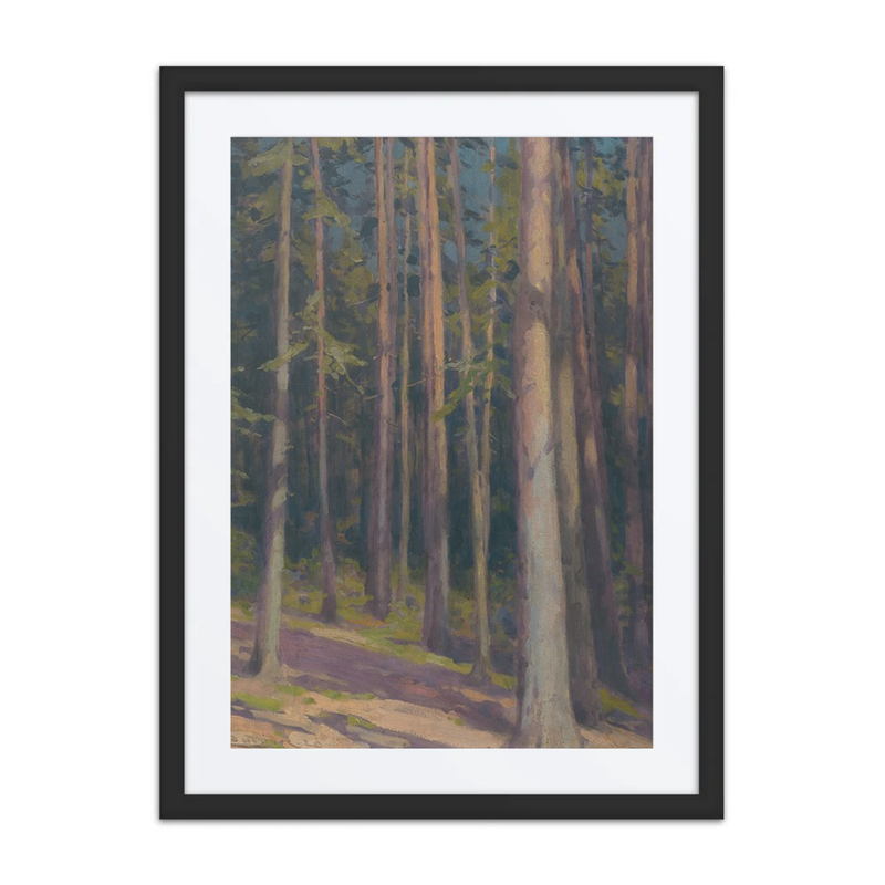 Fir Forest