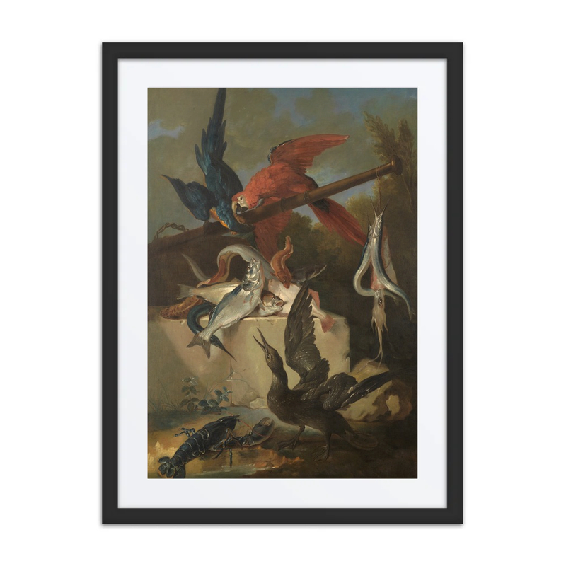 Fish, Sea Birds, and Parrots