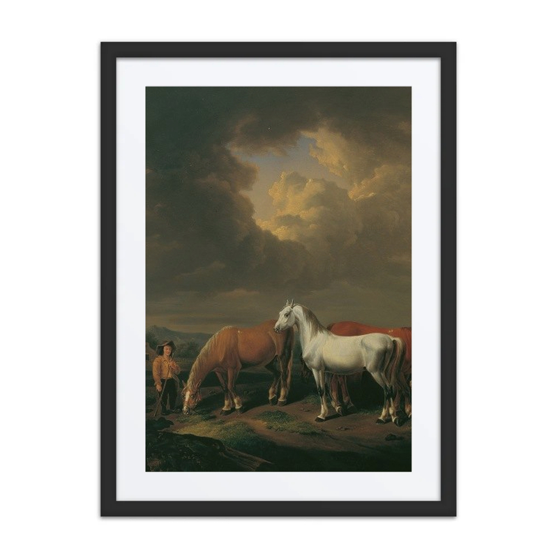 Five Draft Horses