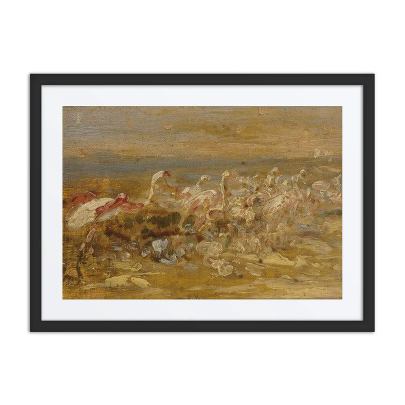 Flamingos