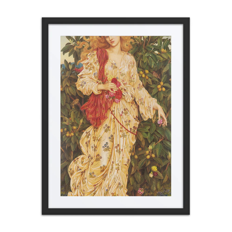 Flora