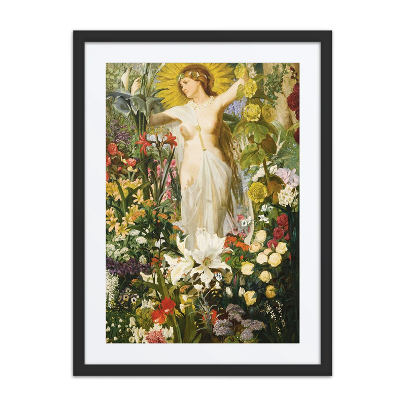Flora