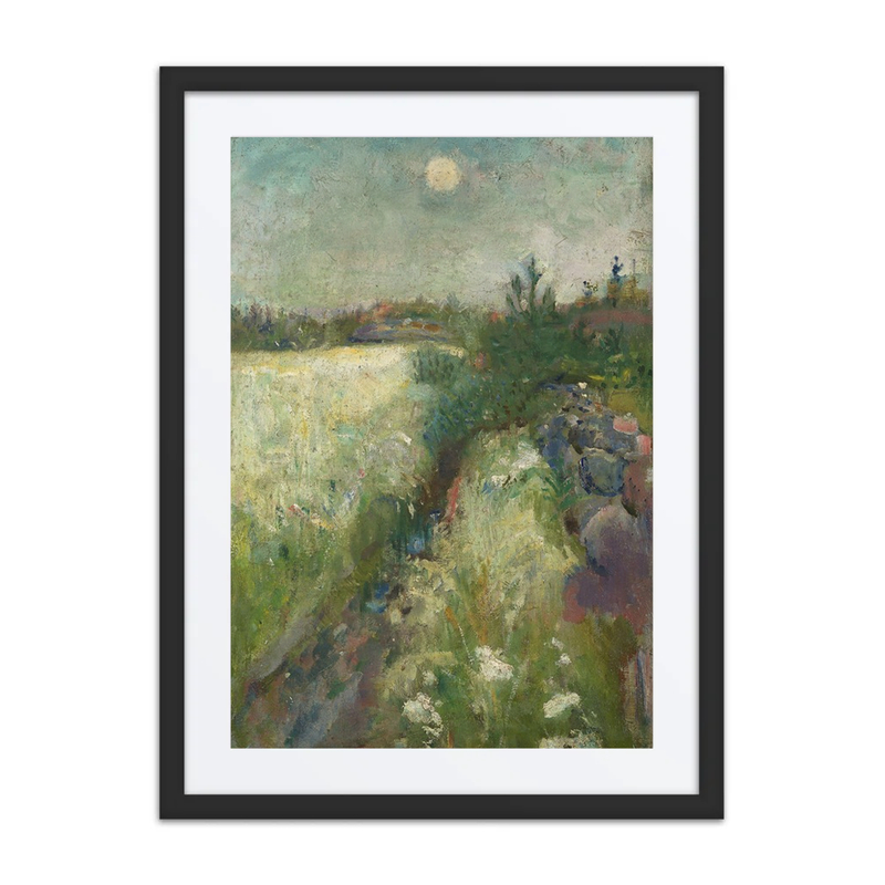 Flowery Meadow at Veierland