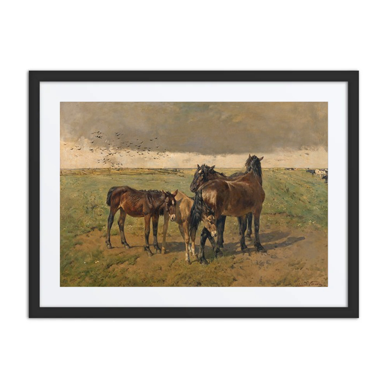 Foals in the Paddock