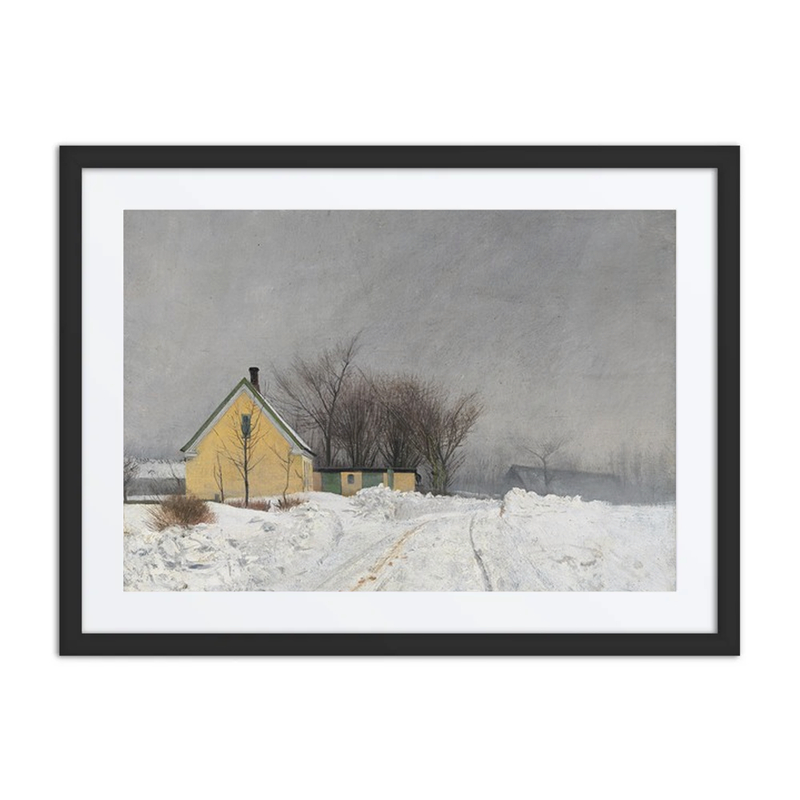 Foggy Winter Day