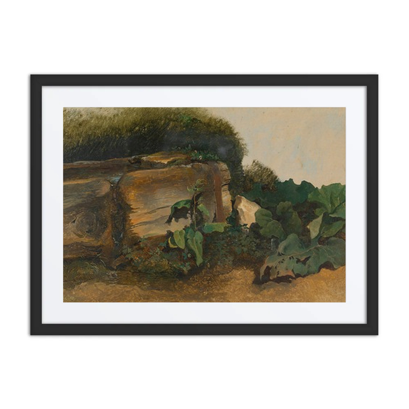 Foliage by a Trough
