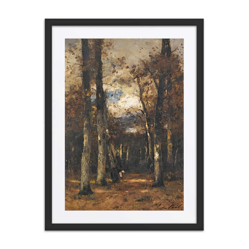 Forest at Fontainebleau