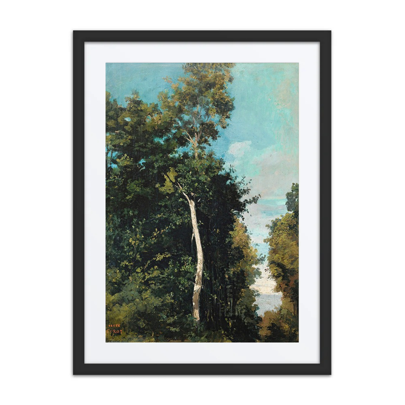 Forest at the Grace Coast, Honfleur