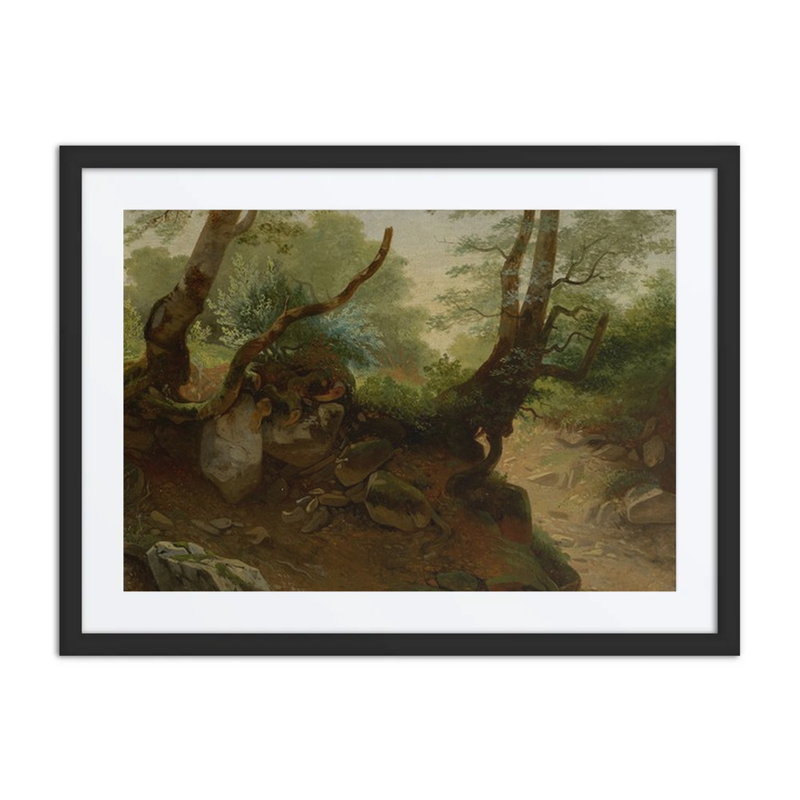 Forest Corner