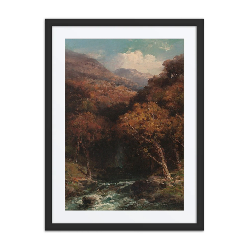 Forest Creek Bed