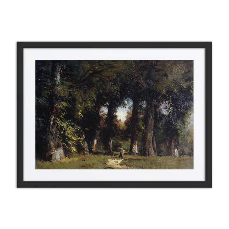 Forest Edge