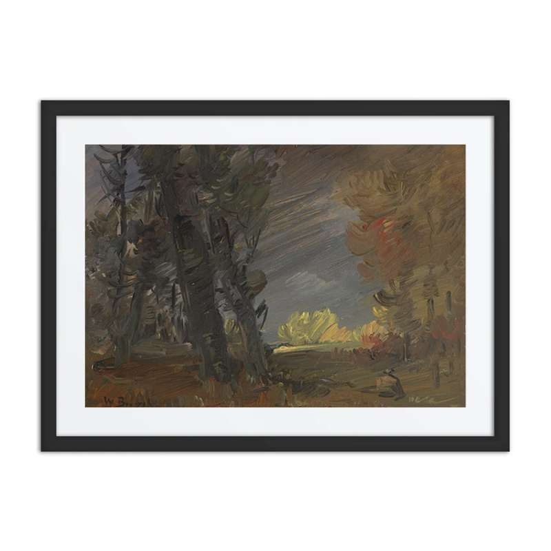 Forest Edge with Sunlit Trees