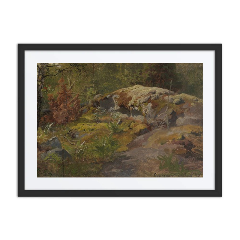 Forest Floor