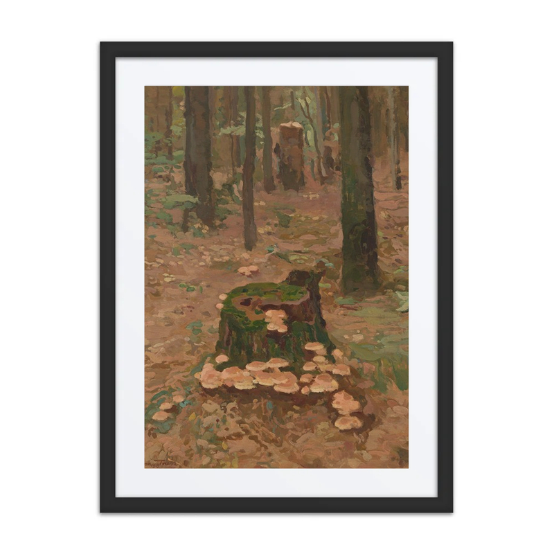 Forest Fragment, Trunks Series