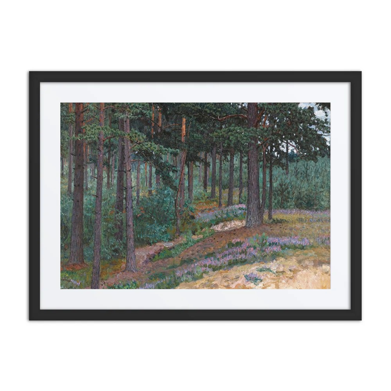 Forest Glade