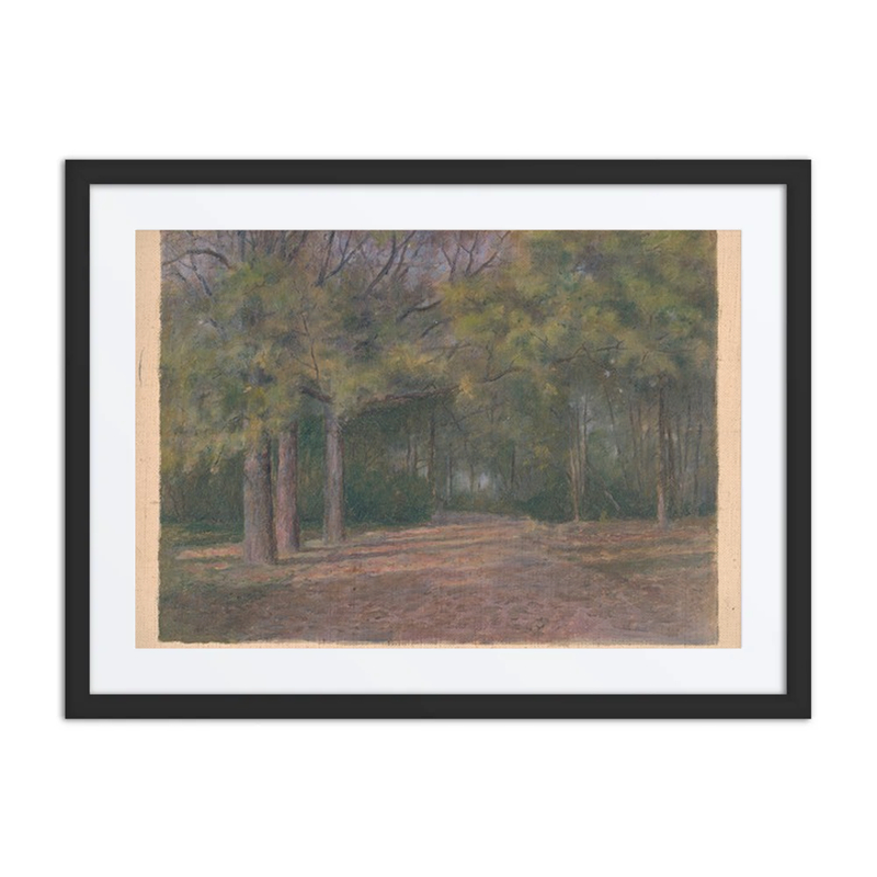 Forest II.