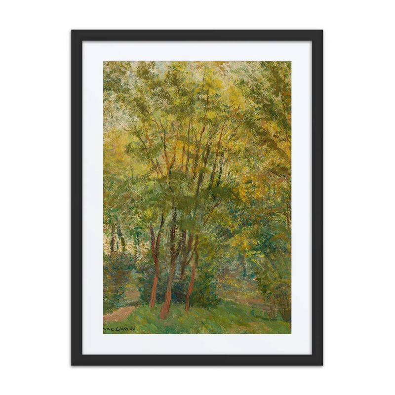 Forest in Autumn
