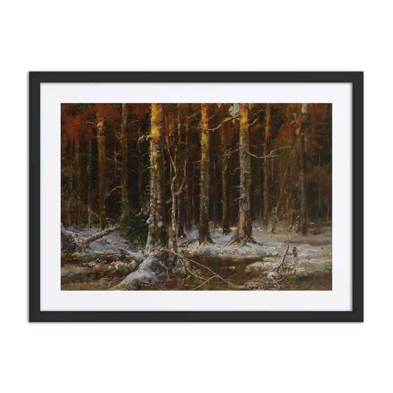 Forest in Winter