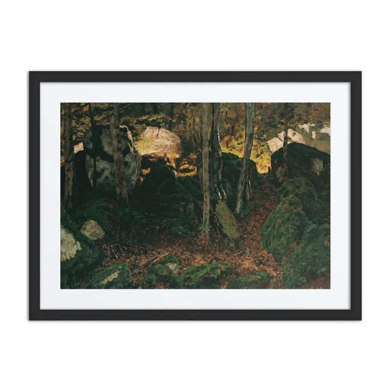 Forest Interior at Saut du Doubs