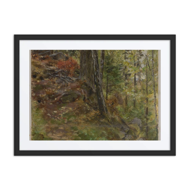 Forest Interior