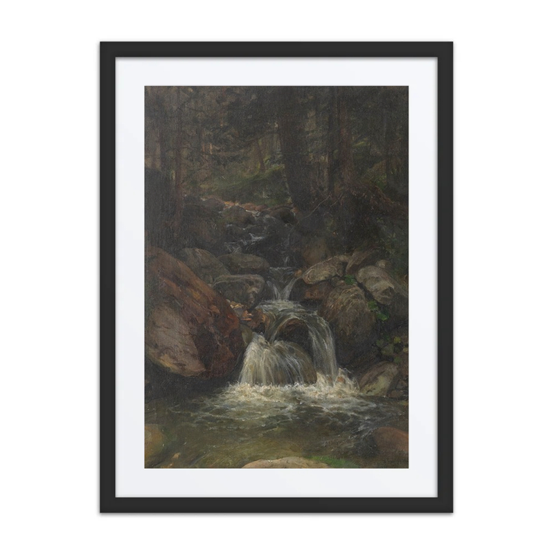 Forest Interior with Waterfall