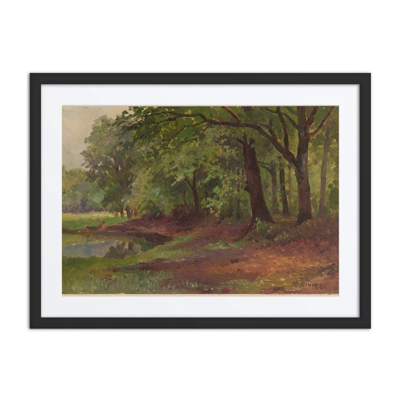 Forest Landscape and Pond