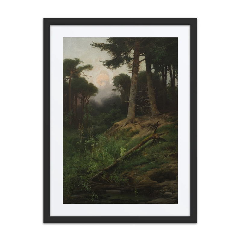 Forest Landscape at Sunrise