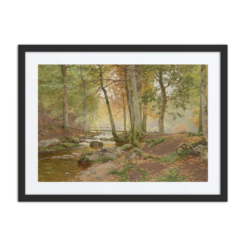 Forest Landscape