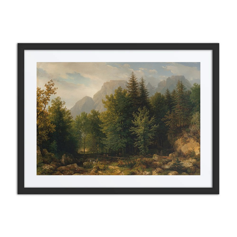 Forest Landscape in the High Mountains