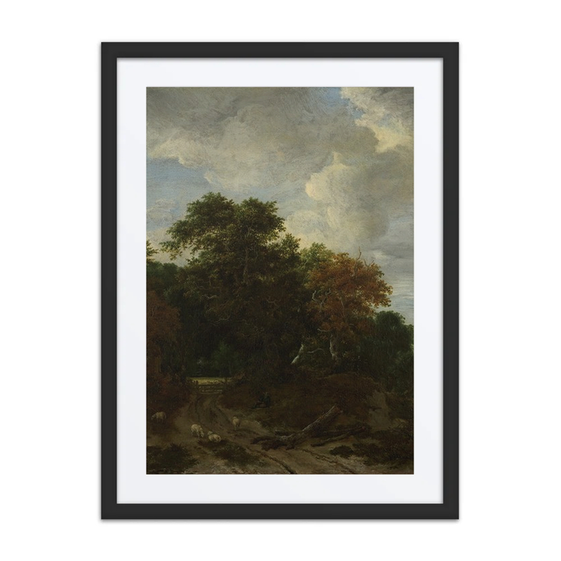 Forest Landscape
