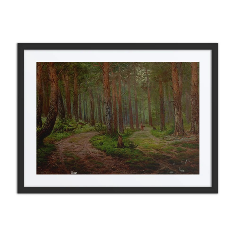 Forest Landscape
