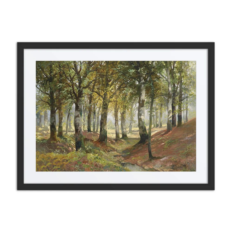Forest Landscape