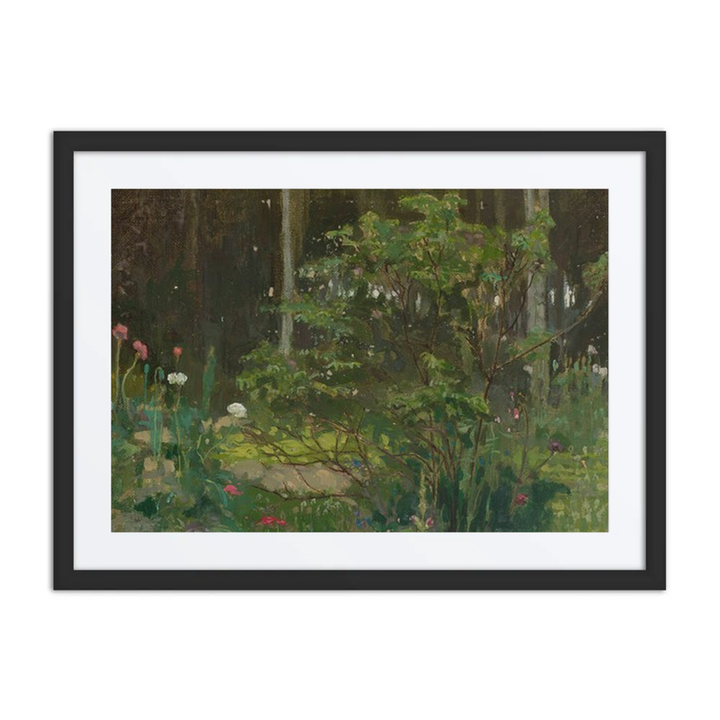 Forest Landscape