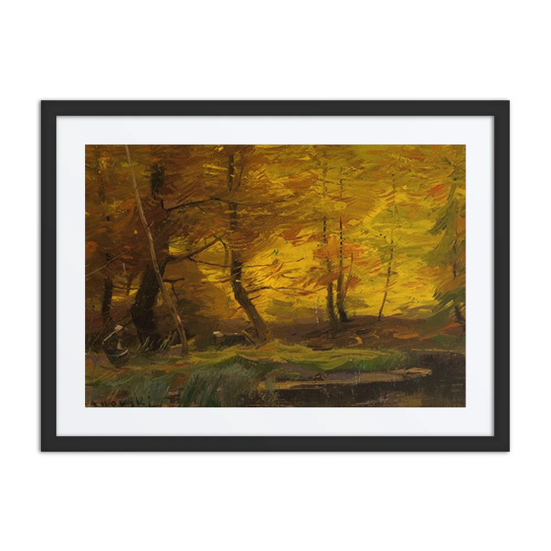 Forest Landscape