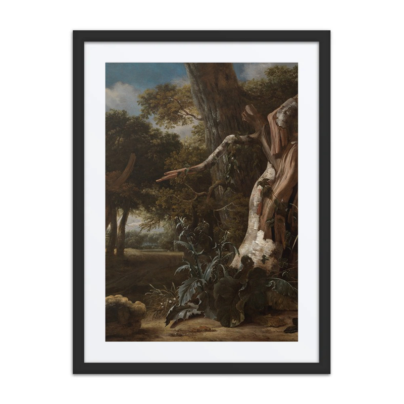 Forest Landscape with a Lightning-Struck Beech Tree