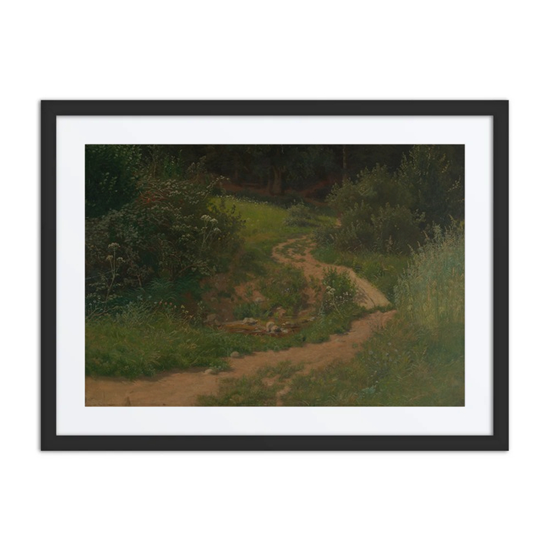 Forest Meadow Path with Water Pool