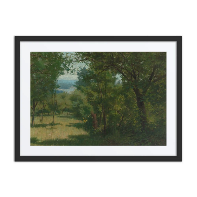 Forest Opening with Lake