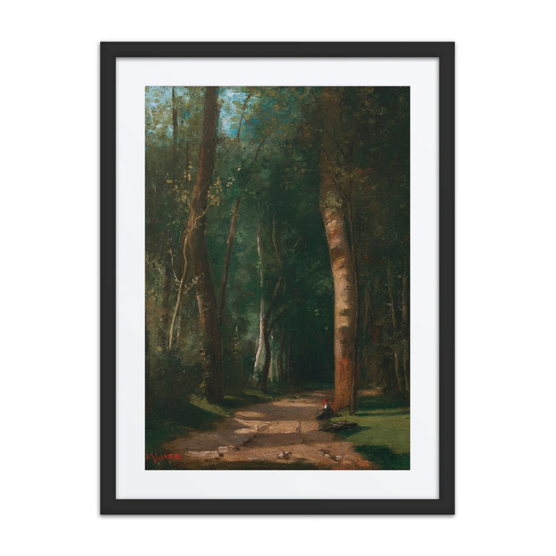 Forest Path