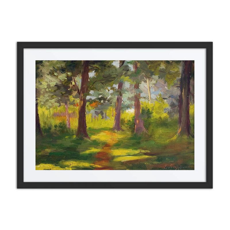 Forest Path in Sunlight