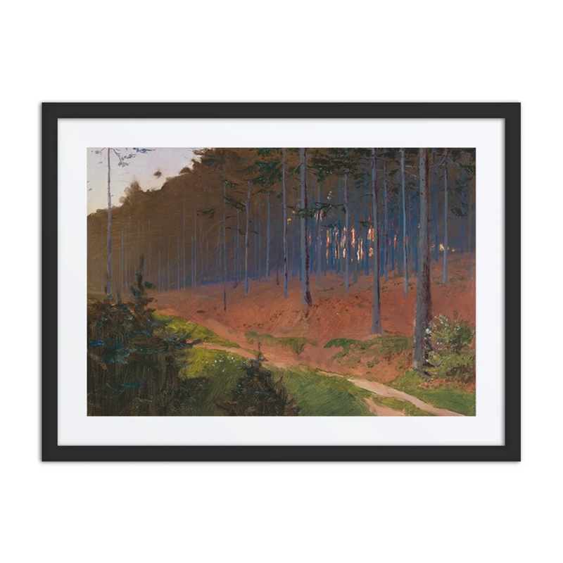 Forest Path Near Weinzierl