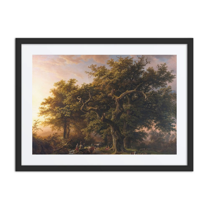 Forest Scene