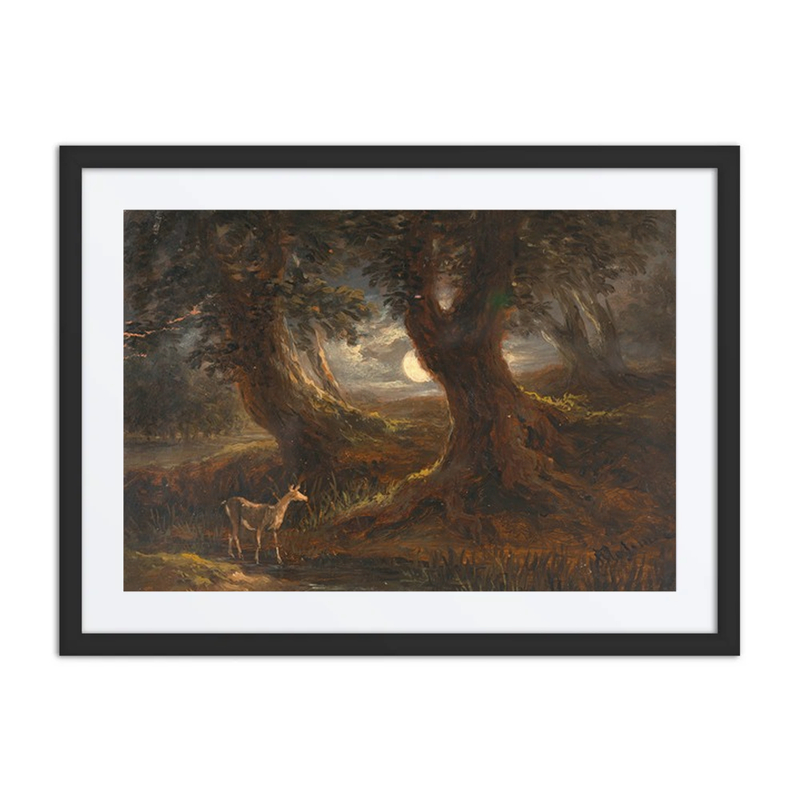 Forest Scene by Moonlight