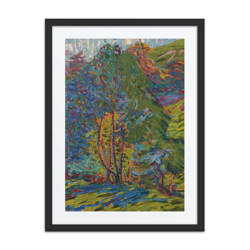 Forest Scene