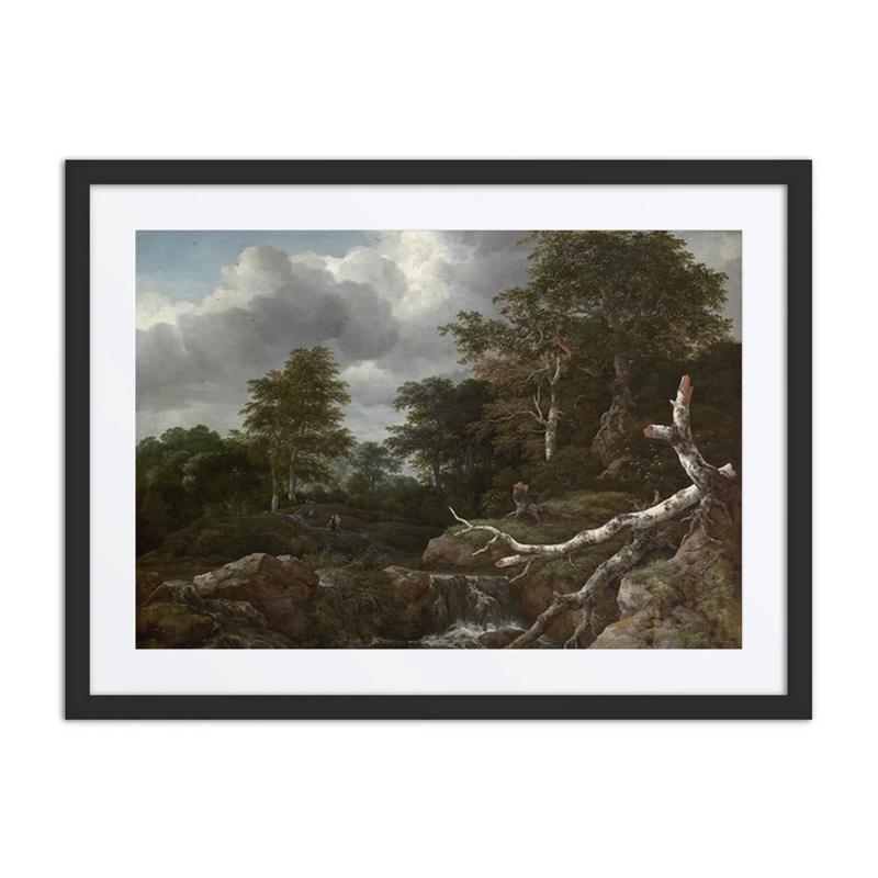 Forest Scene
