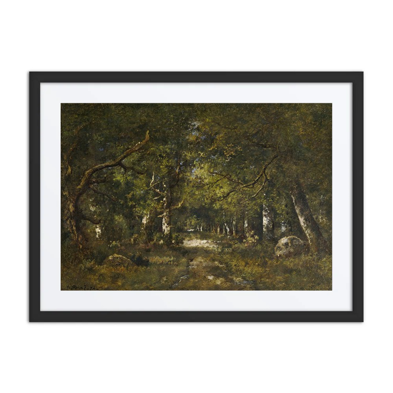 Forest Scene