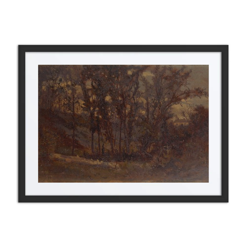 Forest Scene with Fallen Tree