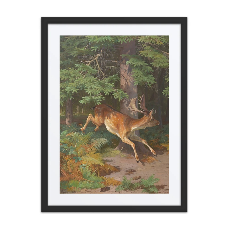 Forest Scene with Fallow Deer