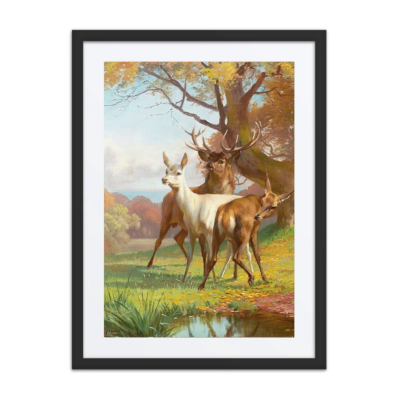 Forest Scene with Red Deer