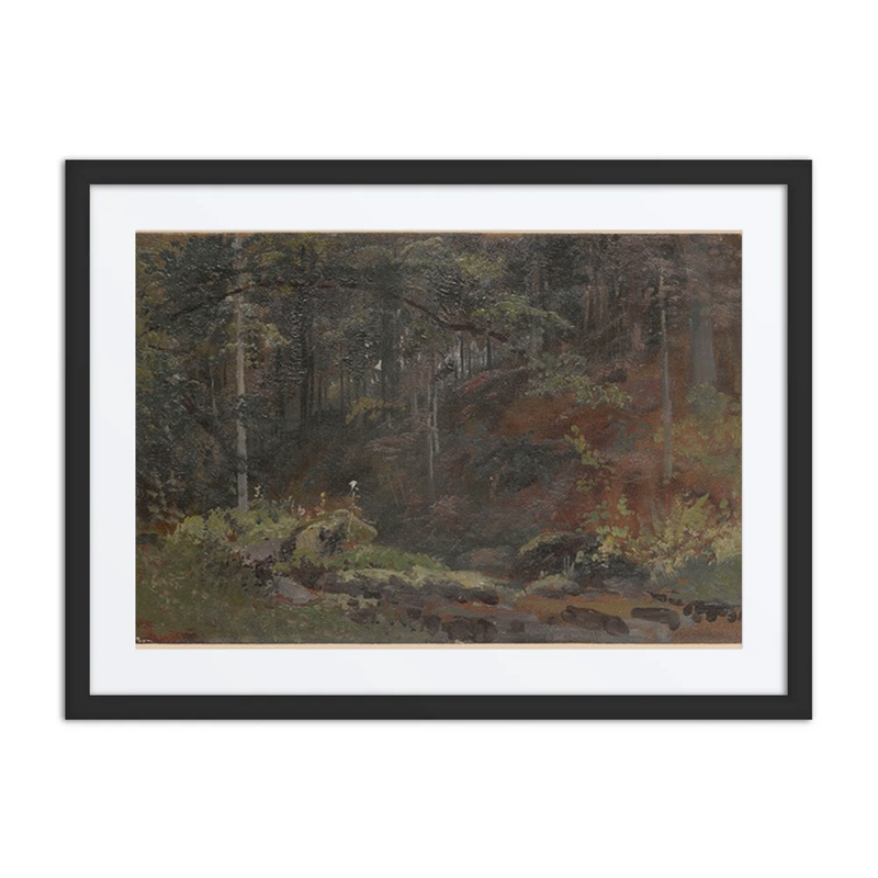 Forest Stream