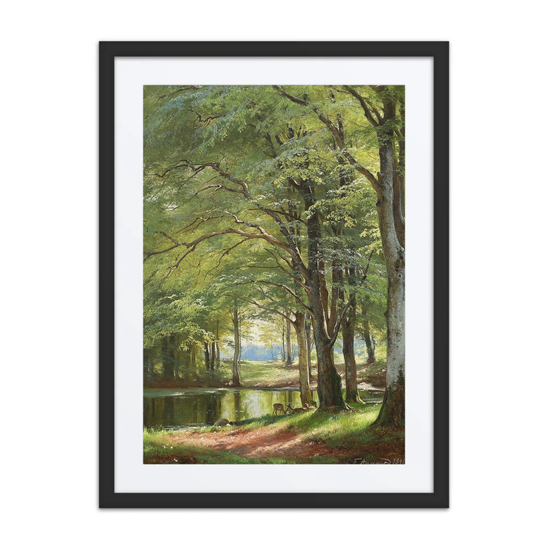 Forest Stream